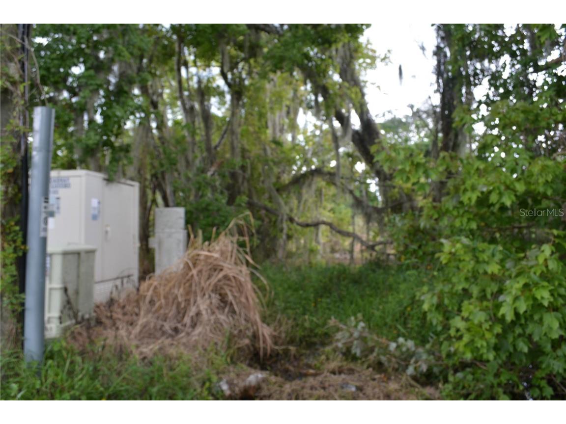 0 Chuluota Road Oviedo FL 32765 O6160436 image16