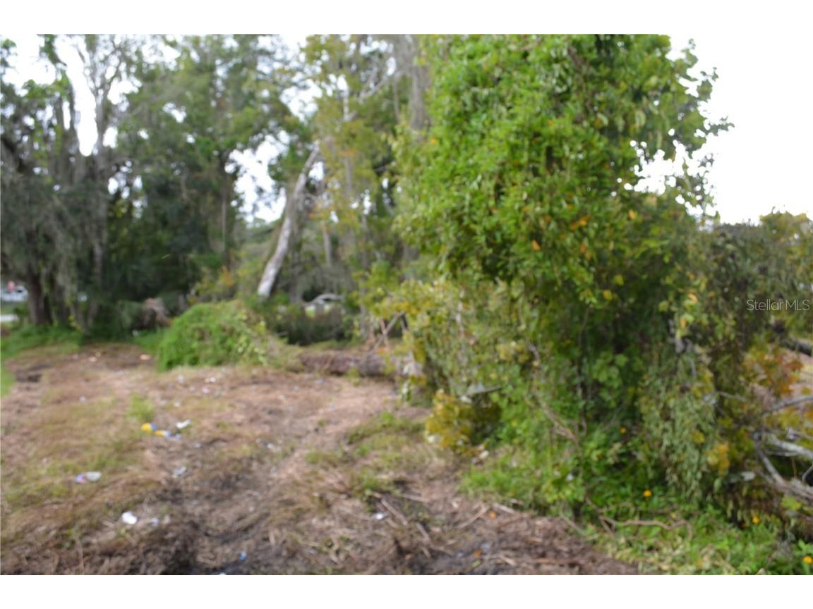 0 Chuluota Road Oviedo FL 32765 O6160436 image6