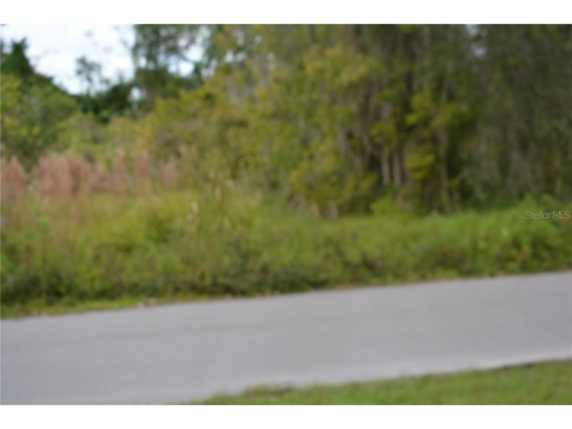 0 Chuluota Road Oviedo FL 32765 O6160436 image7