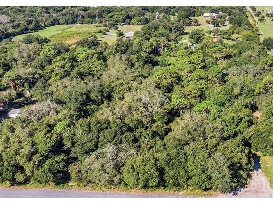 0 Clark Road Saint Cloud FL 34772 O6249142 image12