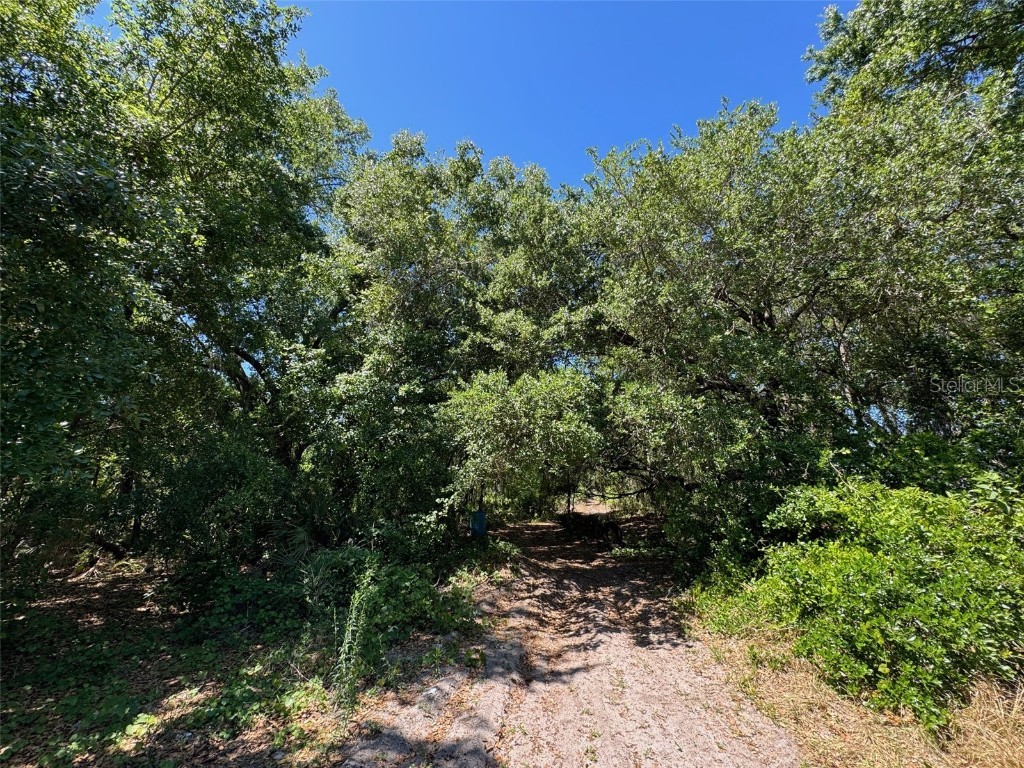 0 Clark Road Saint Cloud FL 34772 O6249142 image2