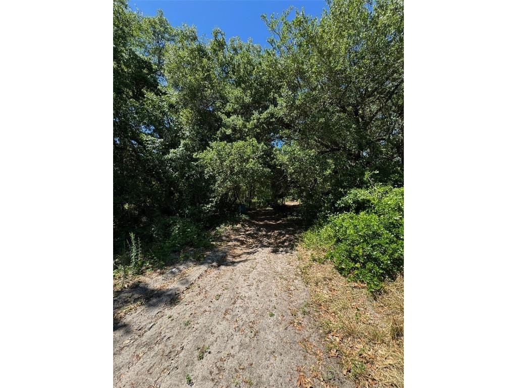 0 Clark Road Saint Cloud FL 34772 O6249142 image5