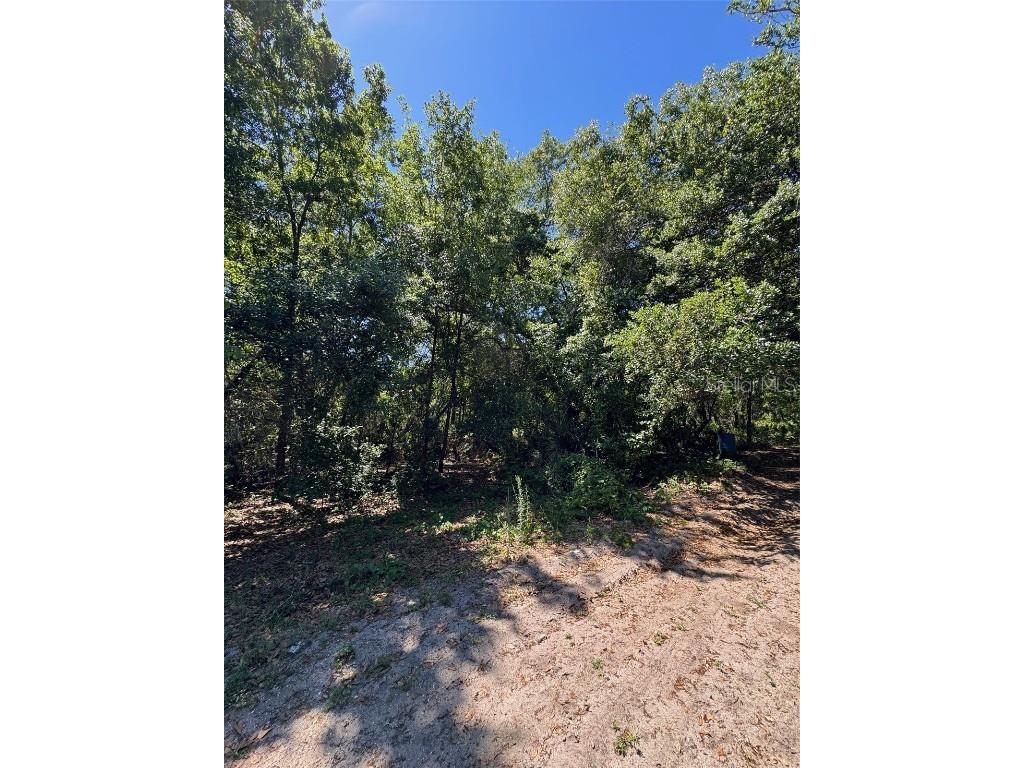 0 Clark Road Saint Cloud FL 34772 O6249142 image6