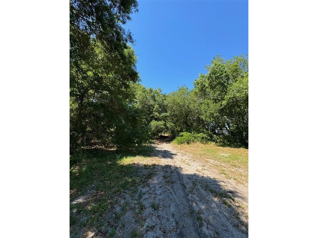 0 Clark Road Saint Cloud FL 34772 O6249142 image7