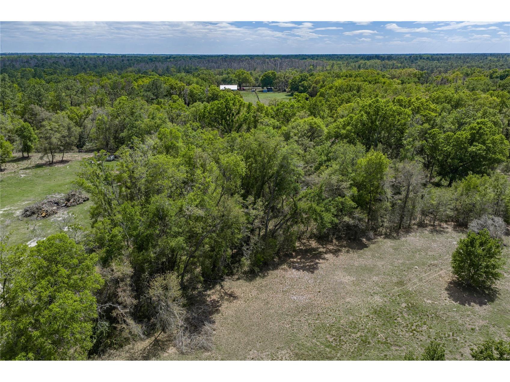 0 Clayton Road Kathleen FL 33849 L4960671 image13