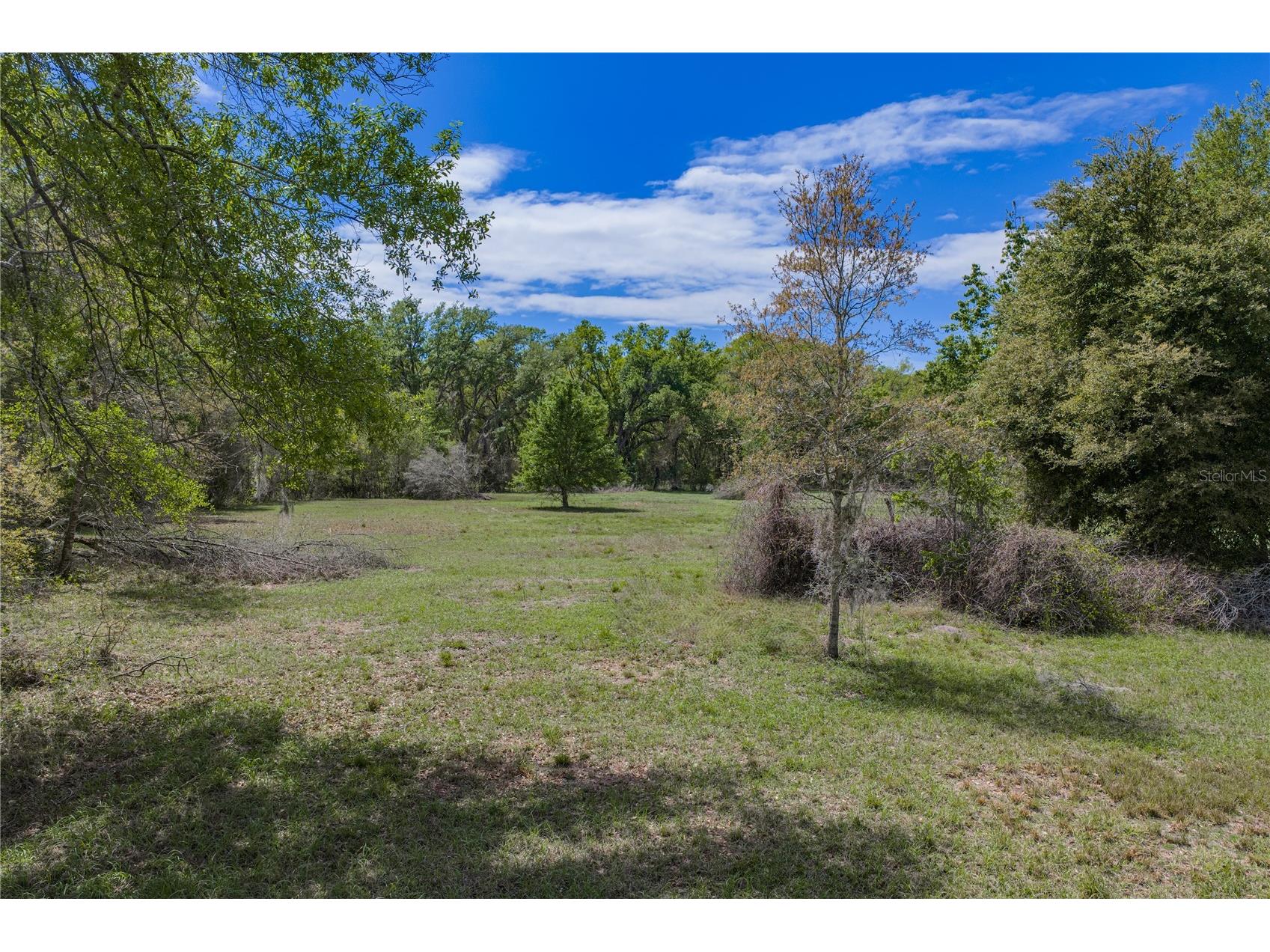 0 Clayton Road Kathleen FL 33849 L4960671 image17