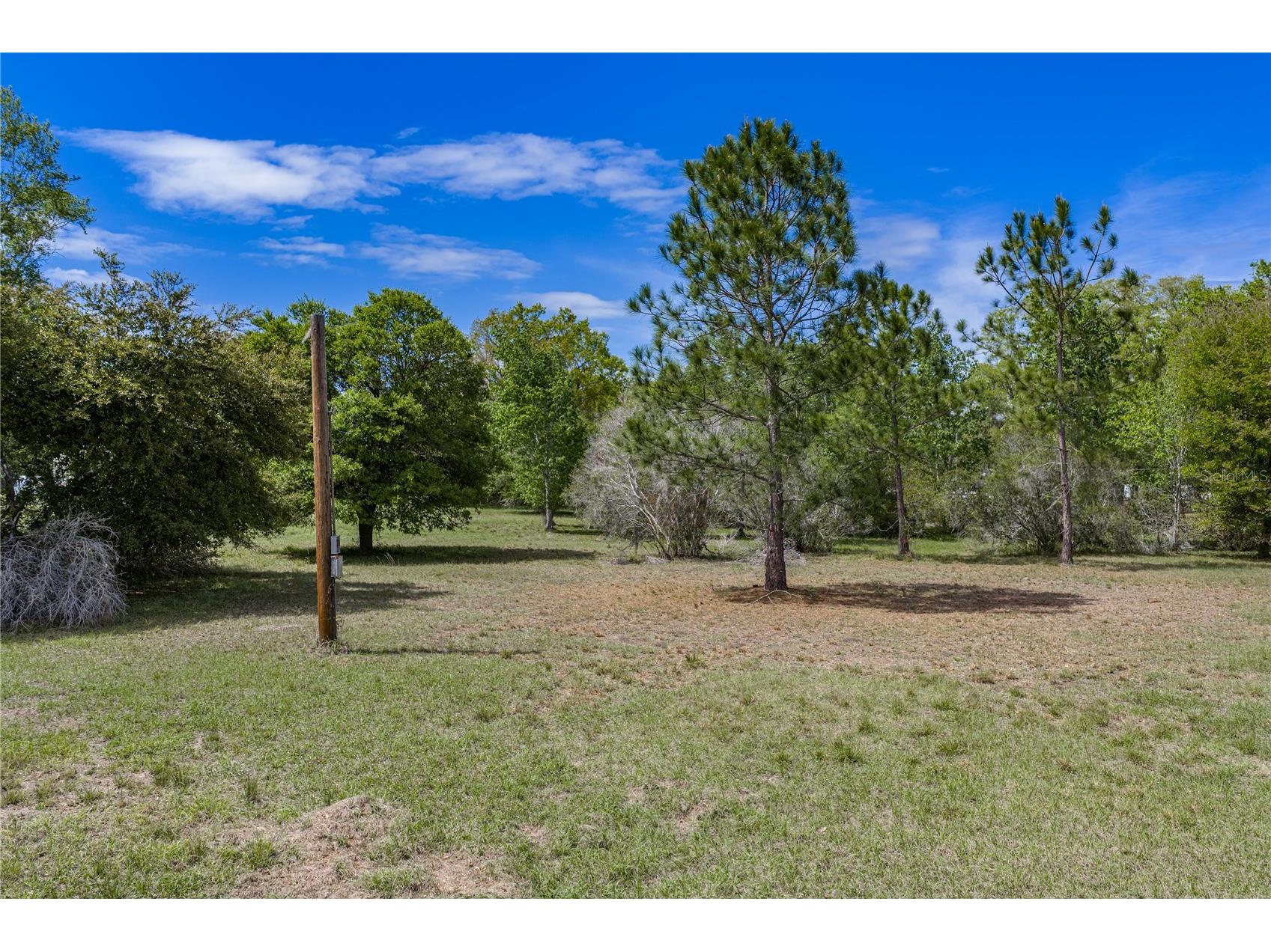 0 Clayton Road Kathleen FL 33849 L4960671 image18