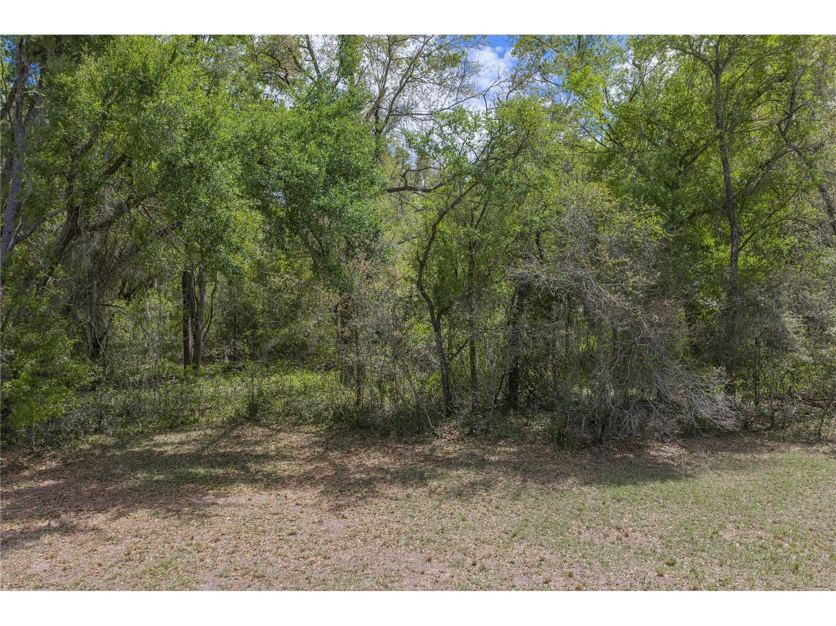 0 Clayton Road Kathleen FL 33849 L4960671 image22