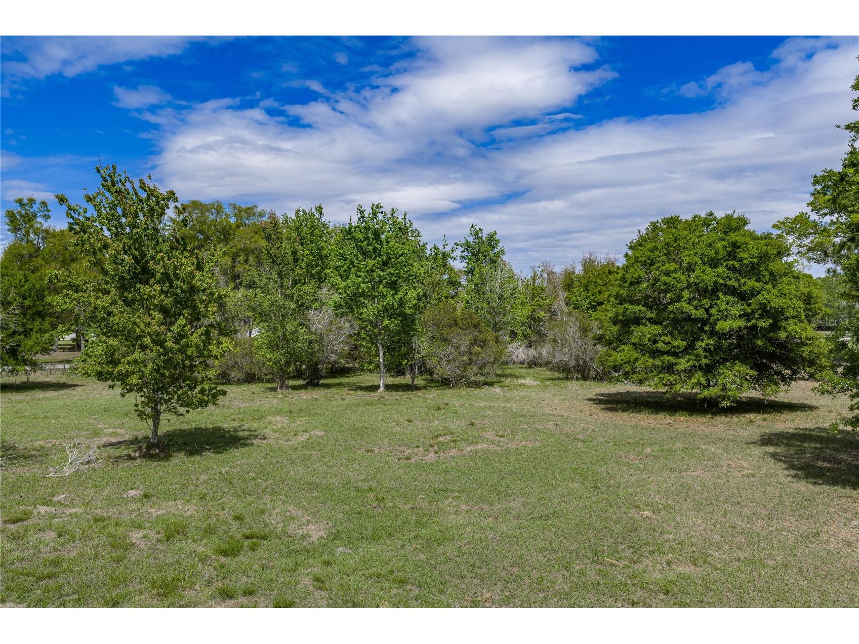 0 Clayton Road Kathleen FL 33849 L4960671 image23