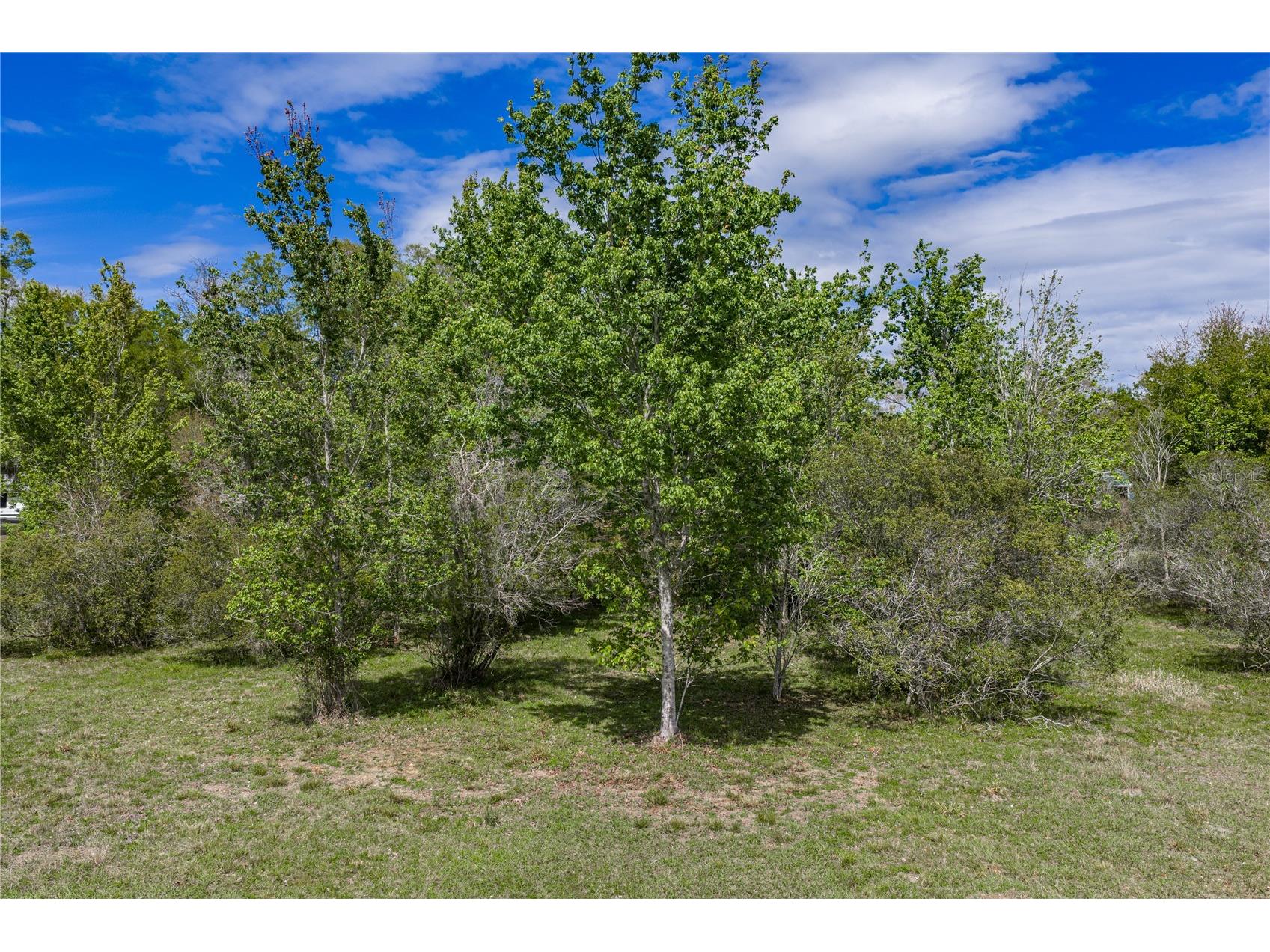 0 Clayton Road Kathleen FL 33849 L4960671 image24