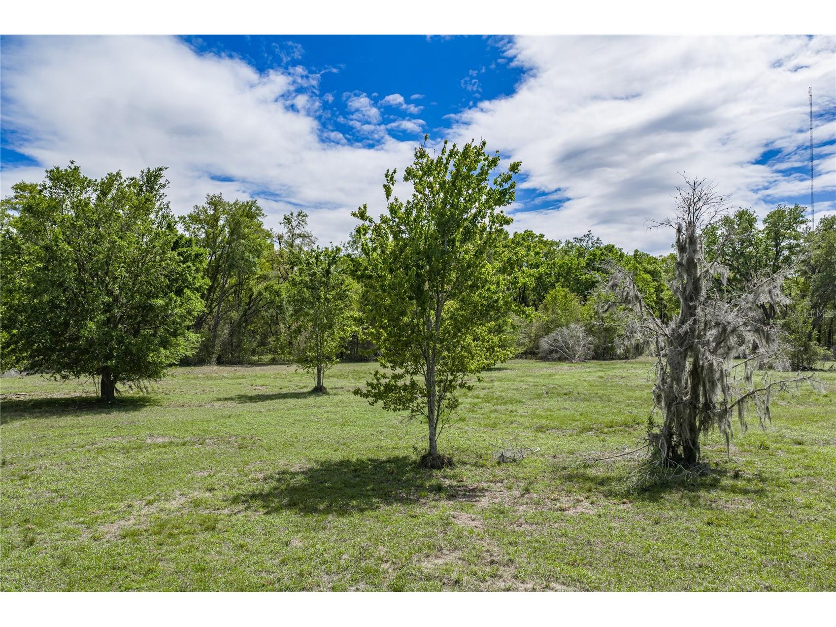 0 Clayton Road Kathleen FL 33849 L4960671 image25