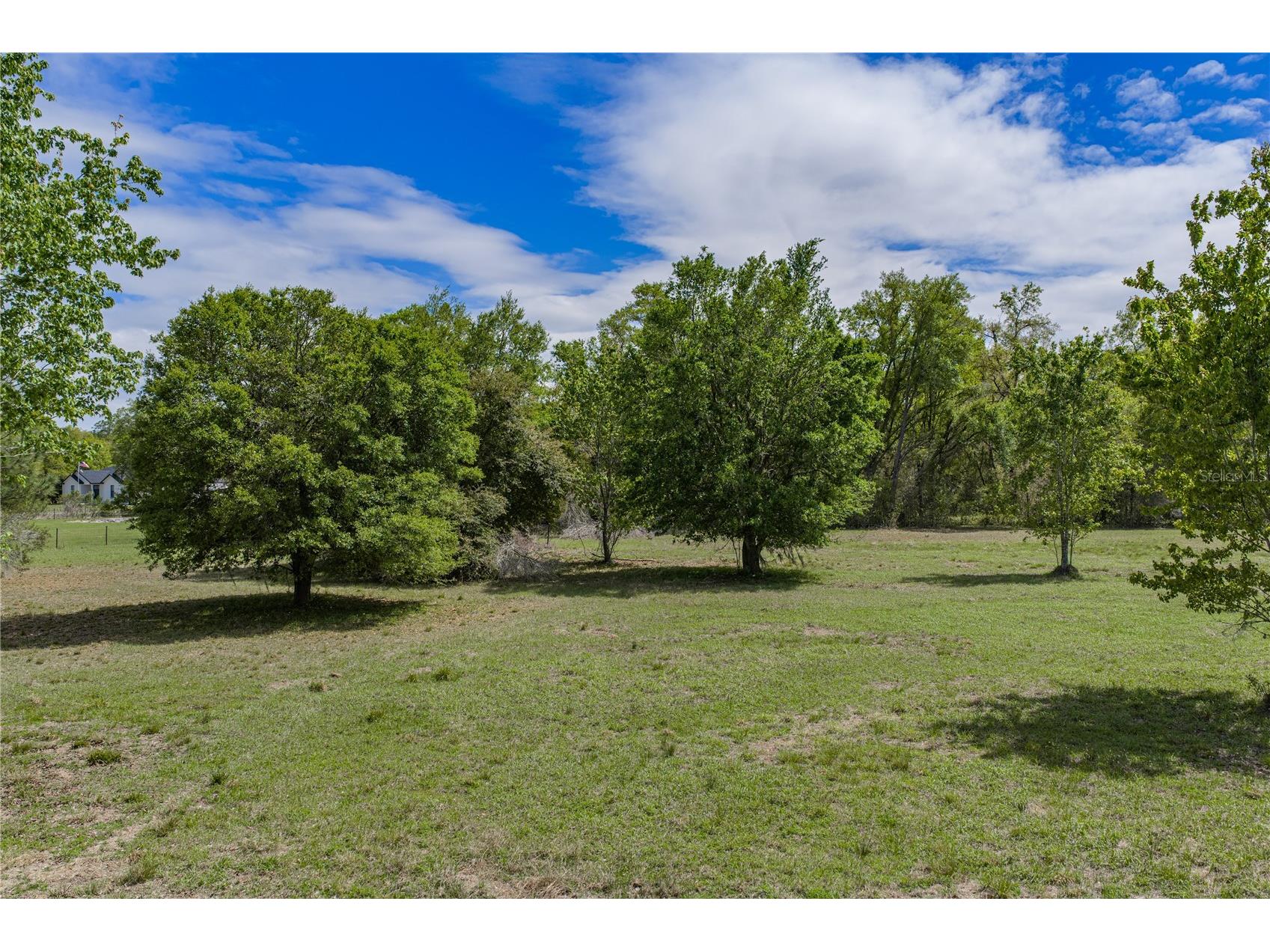 0 Clayton Road Kathleen FL 33849 L4960671 image26