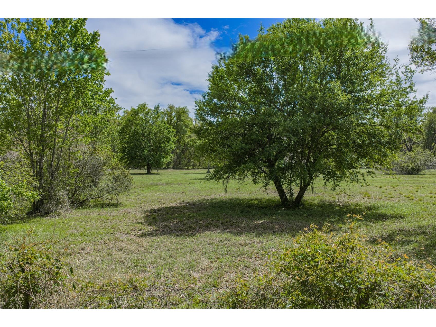 0 Clayton Road Kathleen FL 33849 L4960671 image29