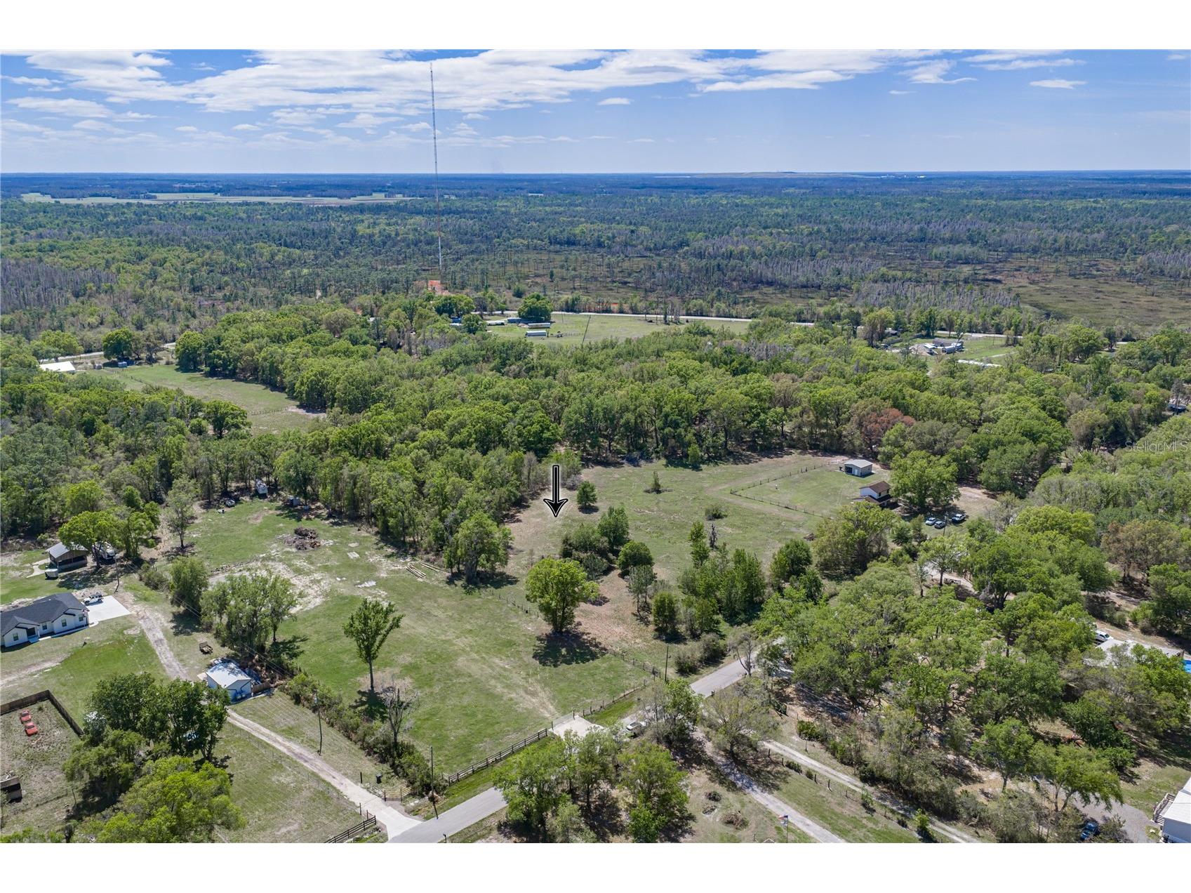 0 Clayton Road Kathleen FL 33849 L4960671 image3