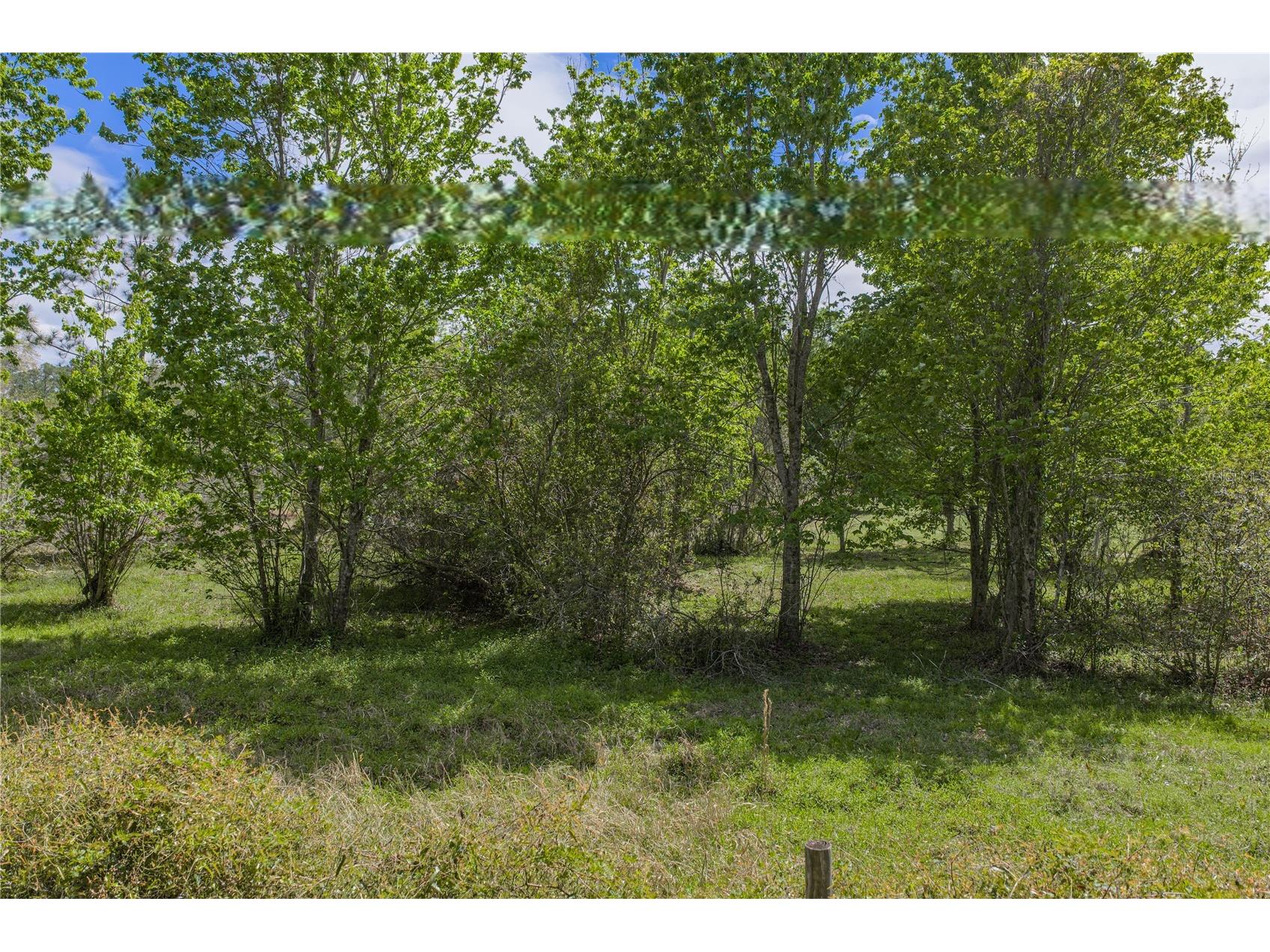 0 Clayton Road Kathleen FL 33849 L4960671 image30