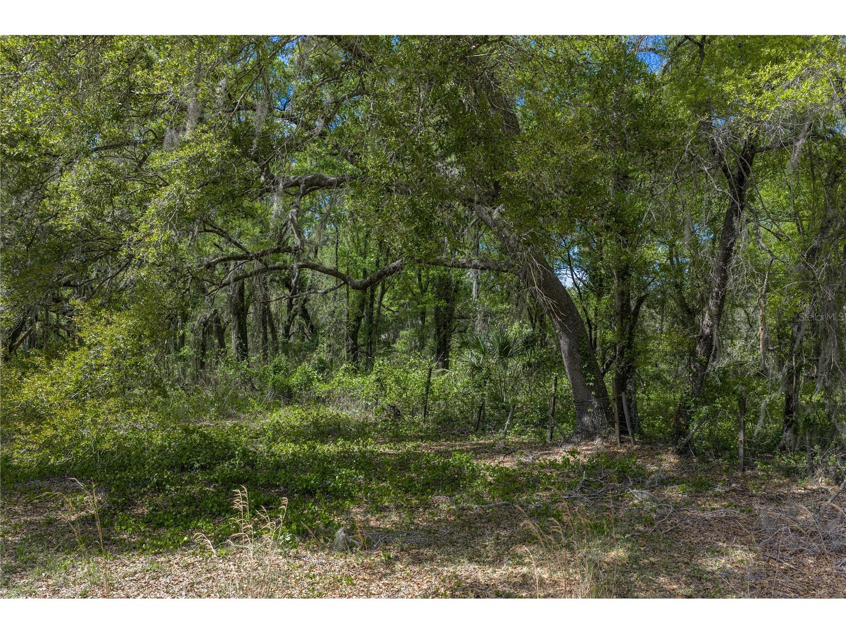 0 Clayton Road Kathleen FL 33849 L4960671 image31