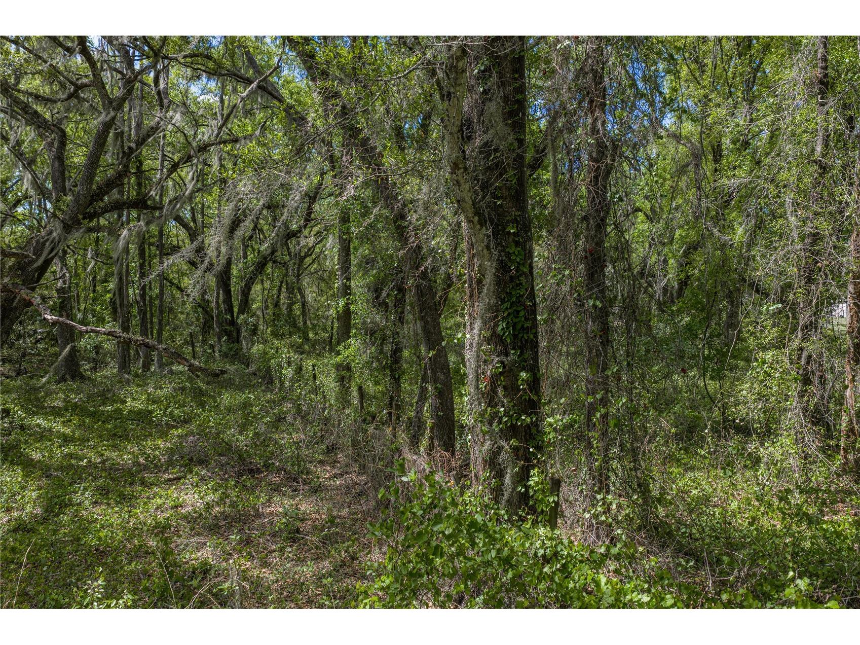 0 Clayton Road Kathleen FL 33849 L4960671 image32
