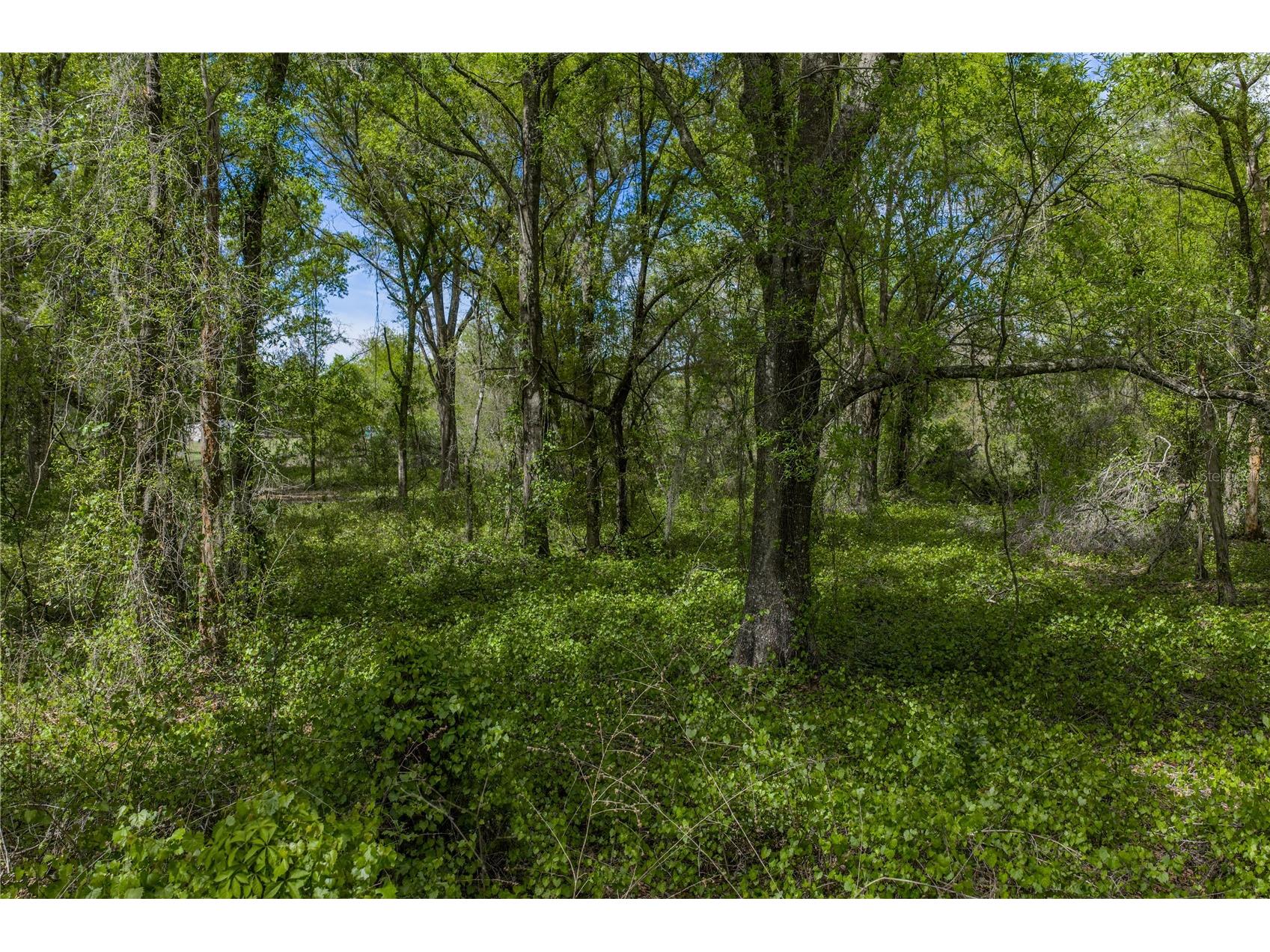 0 Clayton Road Kathleen FL 33849 L4960671 image33