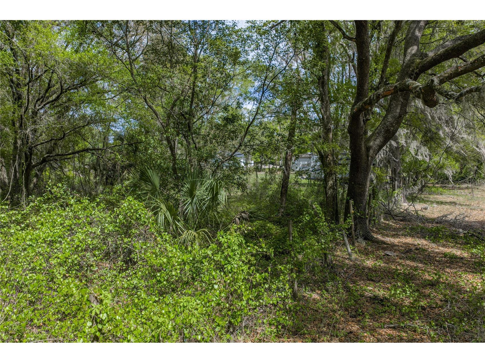 0 Clayton Road Kathleen FL 33849 L4960671 image34
