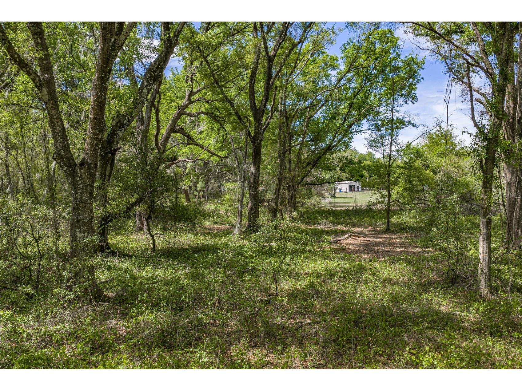 0 Clayton Road Kathleen FL 33849 L4960671 image35