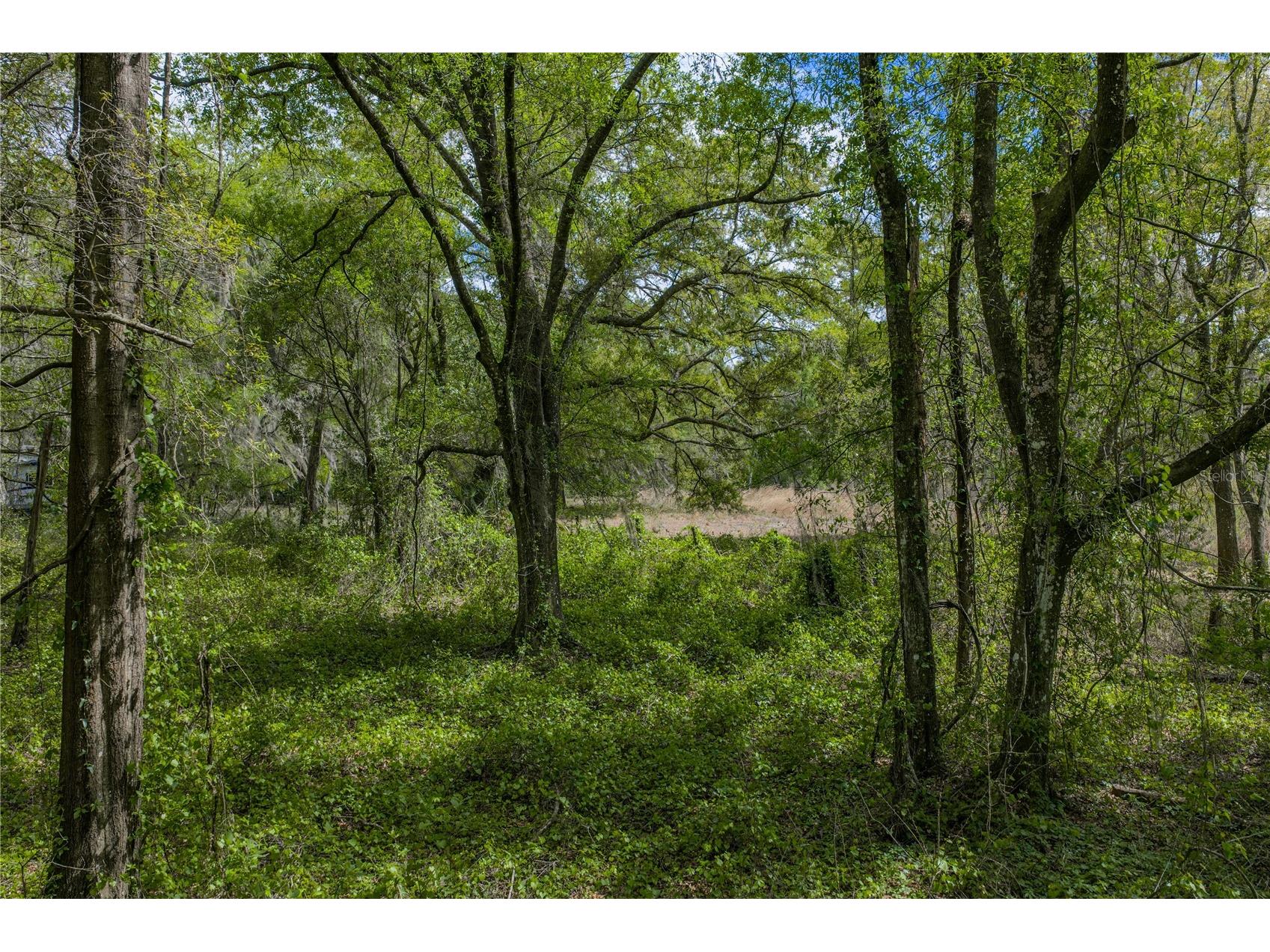 0 Clayton Road Kathleen FL 33849 L4960671 image36