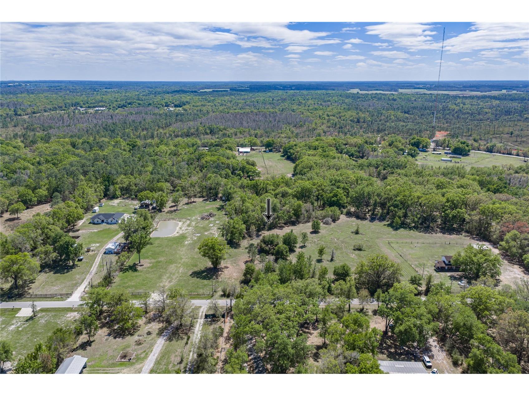 0 Clayton Road Kathleen FL 33849 L4960671 image4