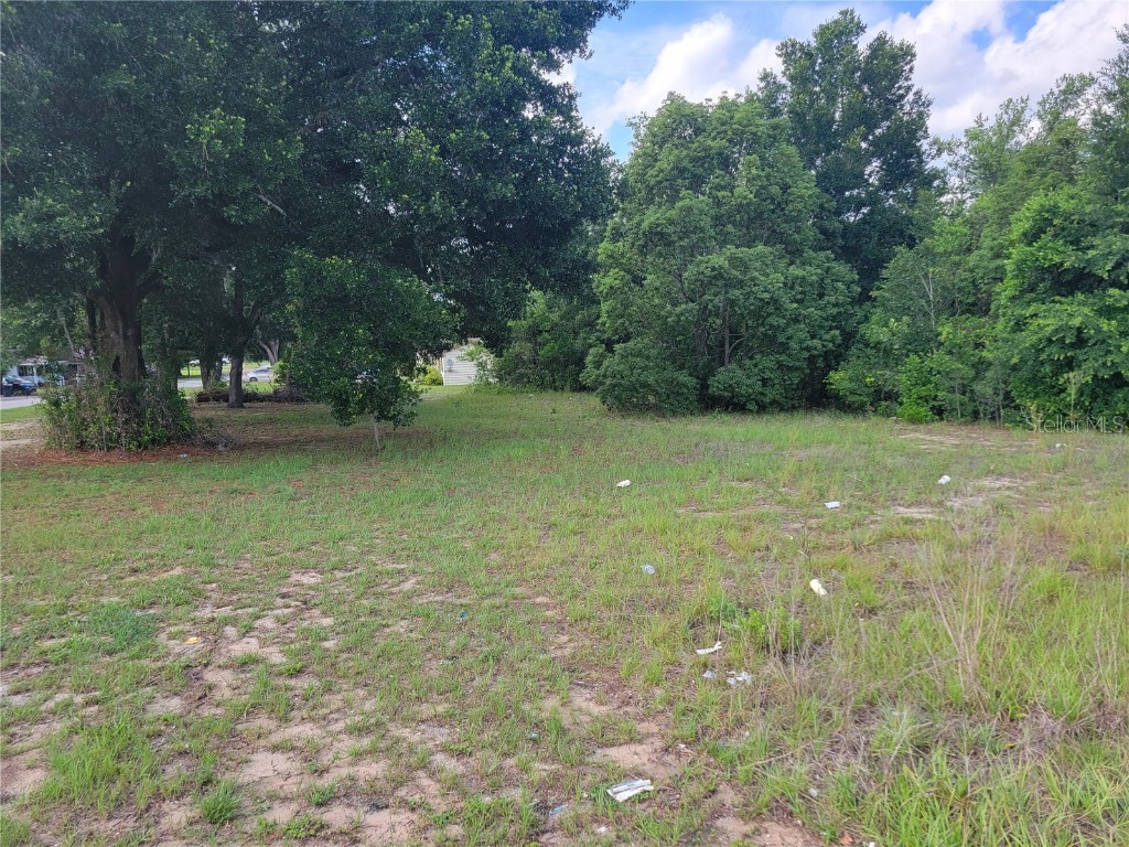 0 Clinton Avenue Dade City FL 33525 L4931459 image1