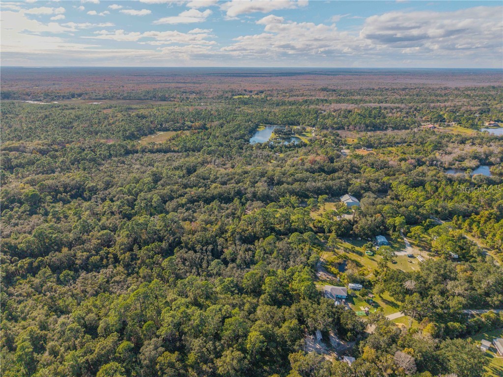 0 Clinton Cemetery Rd. Edgewater FL 32141 NS1086813 image15