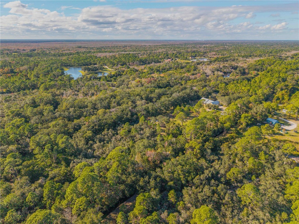 0 Clinton Cemetery Rd. Edgewater FL 32141 NS1086813 image17