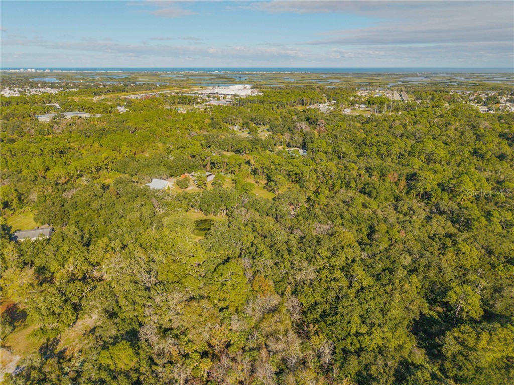 0 Clinton Cemetery Rd. Edgewater FL 32141 NS1086813 image18