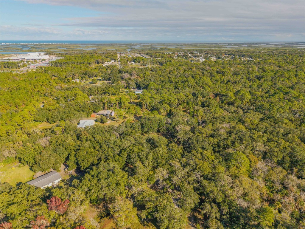 0 Clinton Cemetery Rd. Edgewater FL 32141 NS1086813 image20