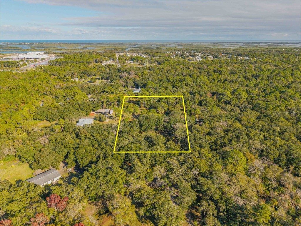 0 Clinton Cemetery Rd. Edgewater FL 32141 NS1086813 image21