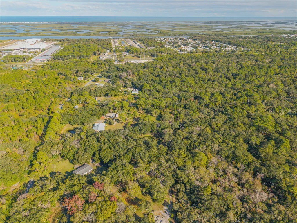 0 Clinton Cemetery Rd. Edgewater FL 32141 NS1086813 image22