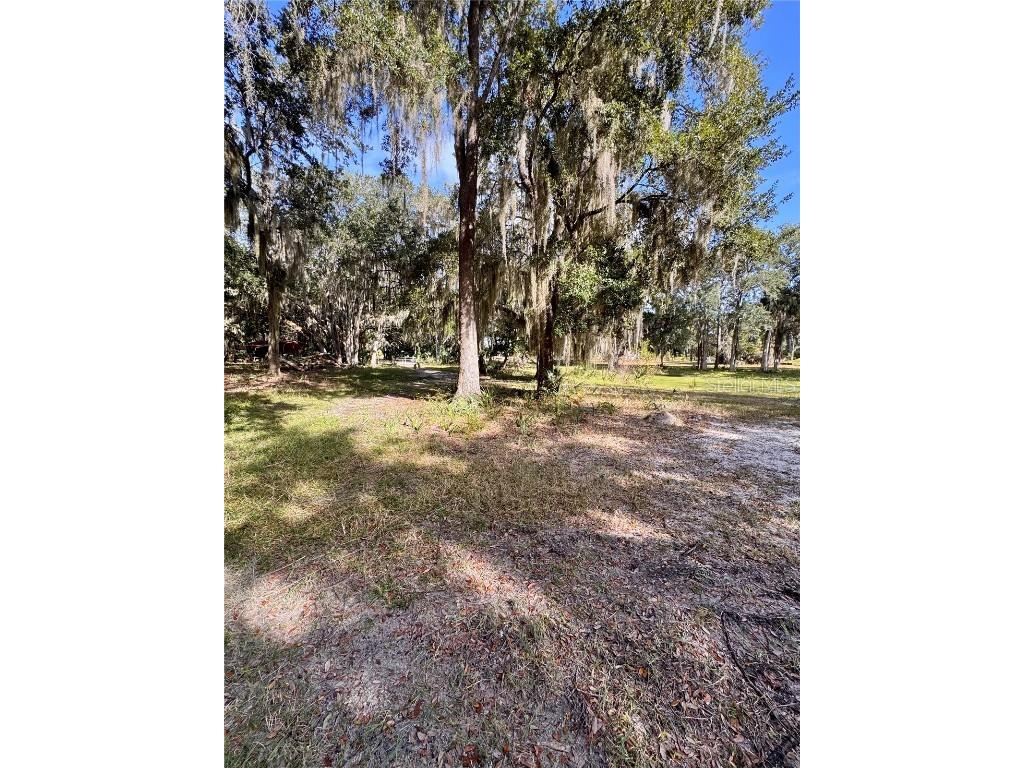 0 Clinton Cemetery Rd. Edgewater FL 32141 NS1086813 image28
