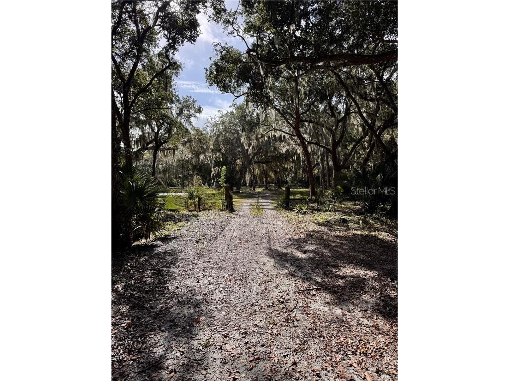 0 Clinton Cemetery Rd. Edgewater FL 32141 NS1086813 image30