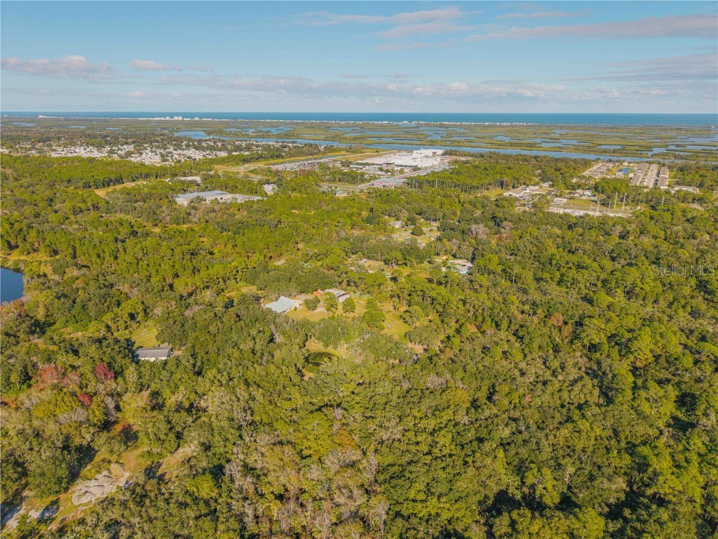 0 Clinton Cemetery Rd. Edgewater FL 32141 NS1086813 image5