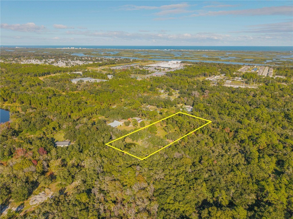 0 Clinton Cemetery Rd. Edgewater FL 32141 NS1086813 image6