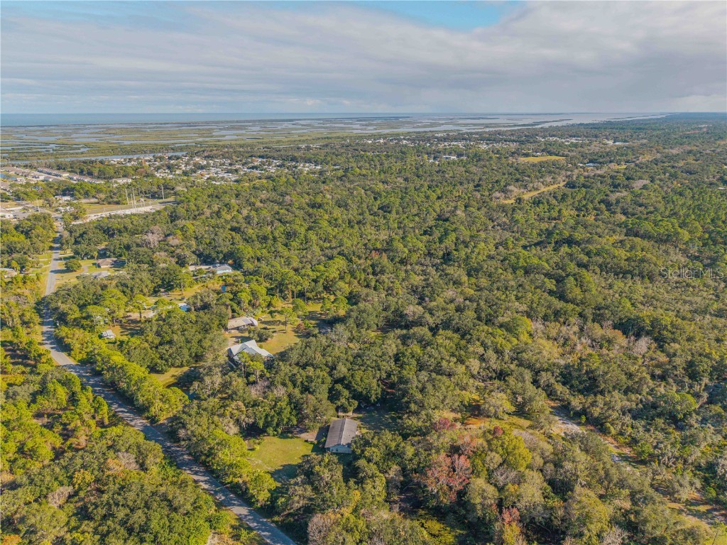 0 Clinton Cemetery Rd. Edgewater FL 32141 NS1086813 image7