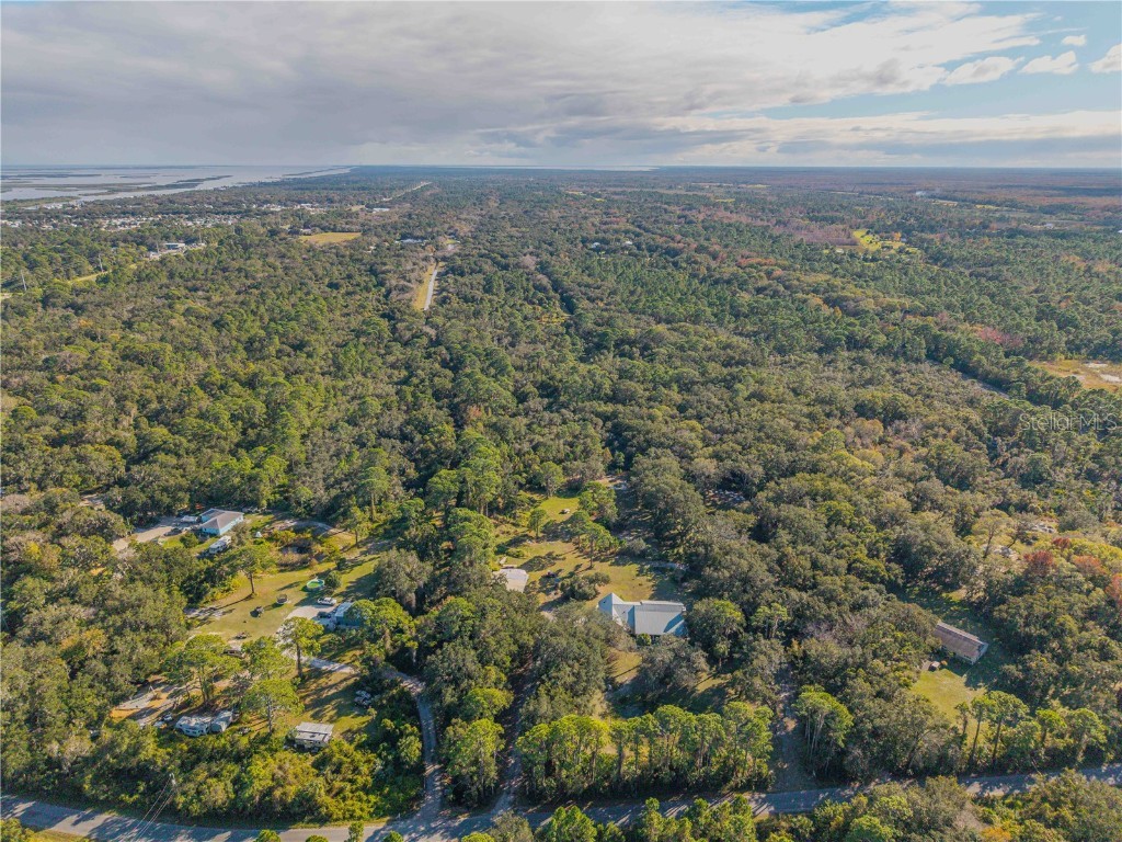 0 Clinton Cemetery Rd. Edgewater FL 32141 NS1086813 image9