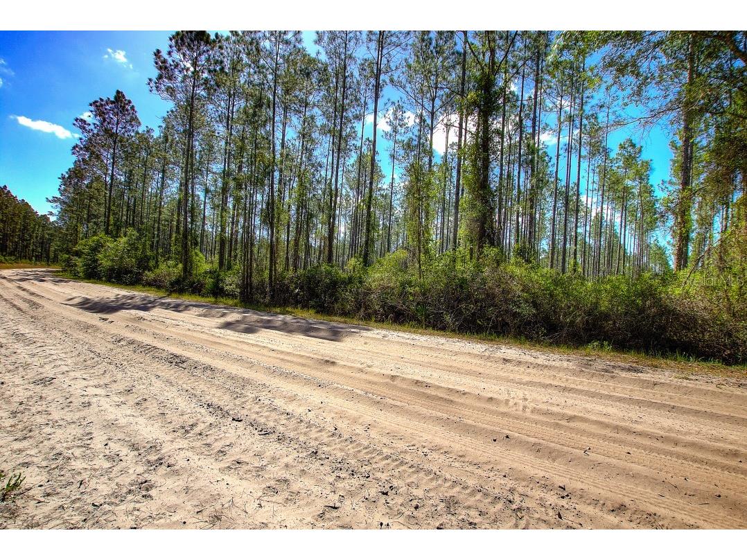 0 Clyatt Road Chiefland FL 32626 O6106379 image1