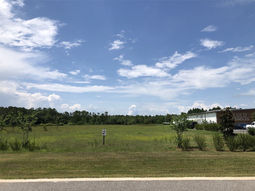 0 Cobb Drive Eustis FL 32736 T3379503 image1