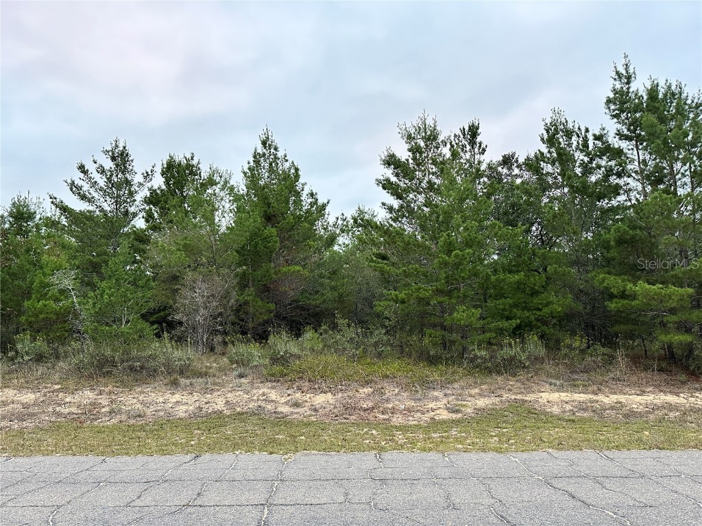 0 Colmart Drive Chipley FL 32428 OM714581 image1