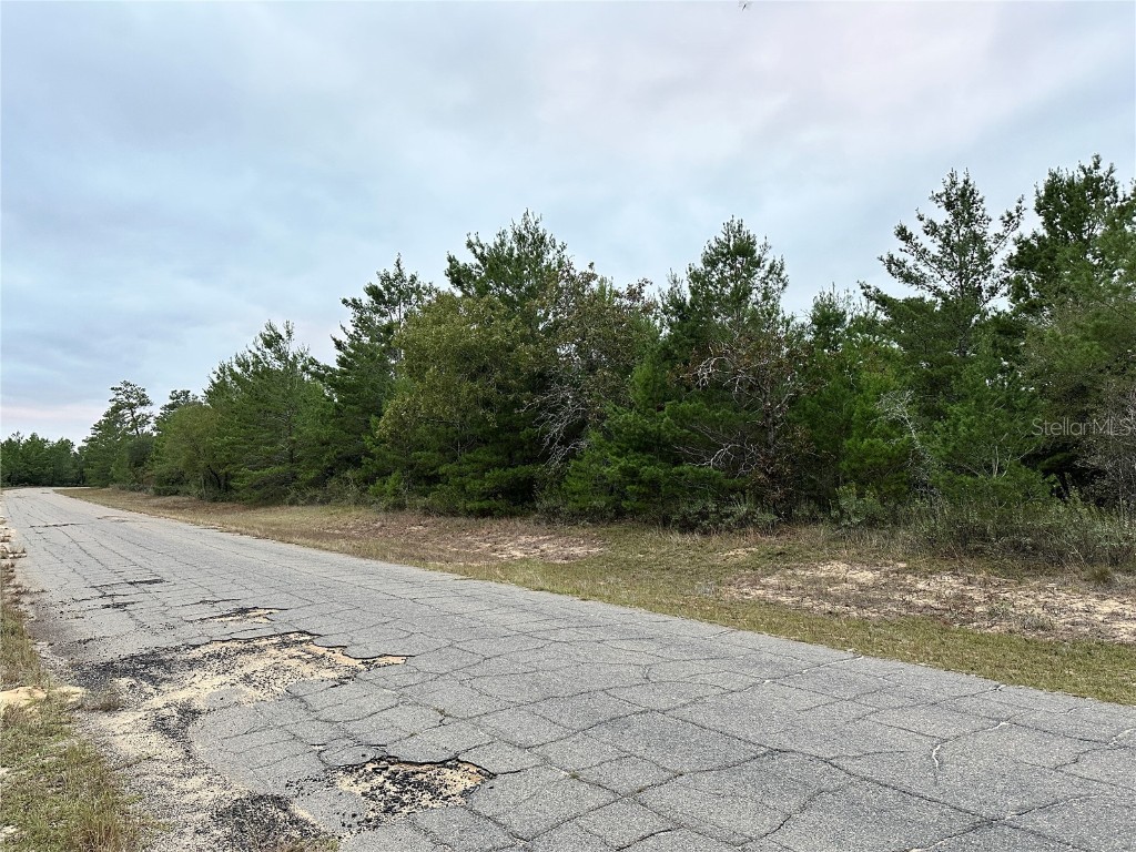 0 Colmart Drive Chipley FL 32428 OM714581 image3