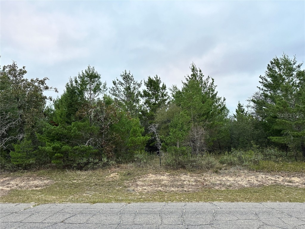 0 Colmart Drive Chipley FL 32428 OM714581 image4