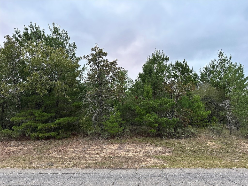 0 Colmart Drive Chipley FL 32428 OM714581 image5