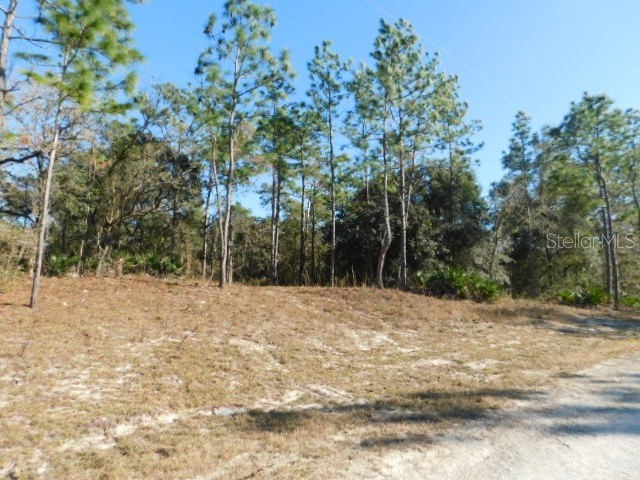 0 Colonel Avenue Webster FL 33597 T3423876 image1