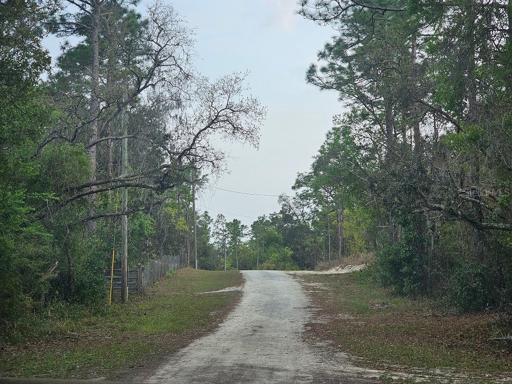 0 Colonel Avenue Webster FL 33597 W7874226 image1