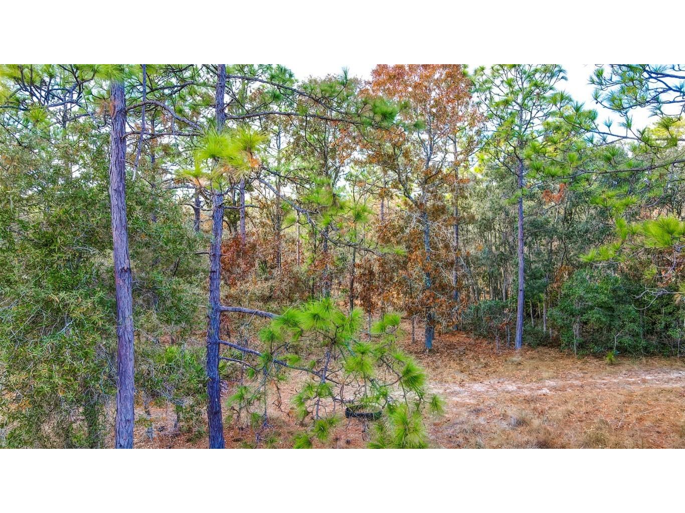 0 Commercial Way Brooksville FL 34614 W7840723 image11