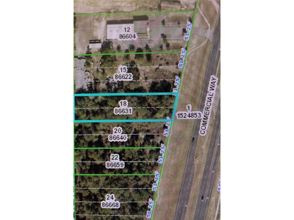 0 Commercial Way Weeki Wachee FL 34613 W7854378 image1