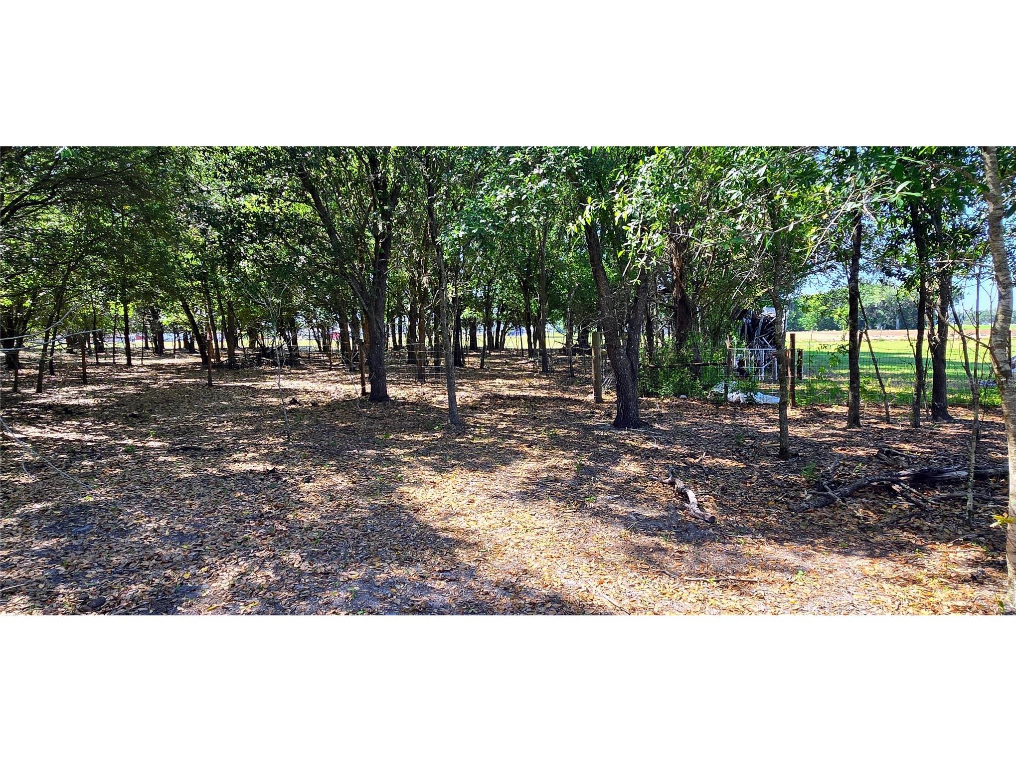 0 Connell Road Plant City FL 33567 TB8502527 image18